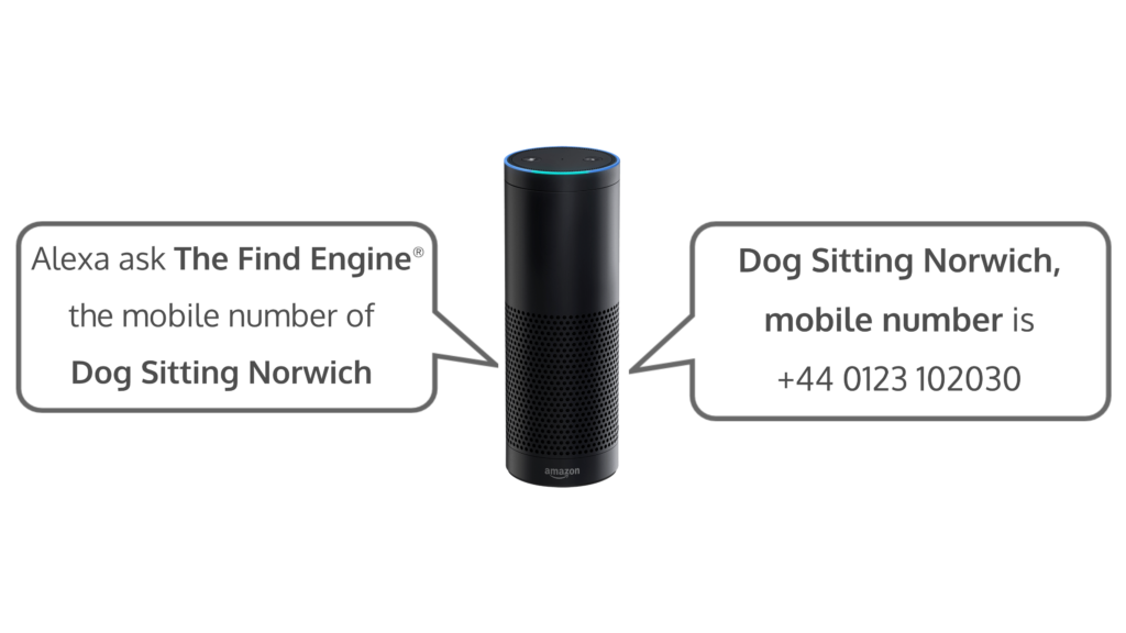 An Alexa giving Info about Dog Sitters